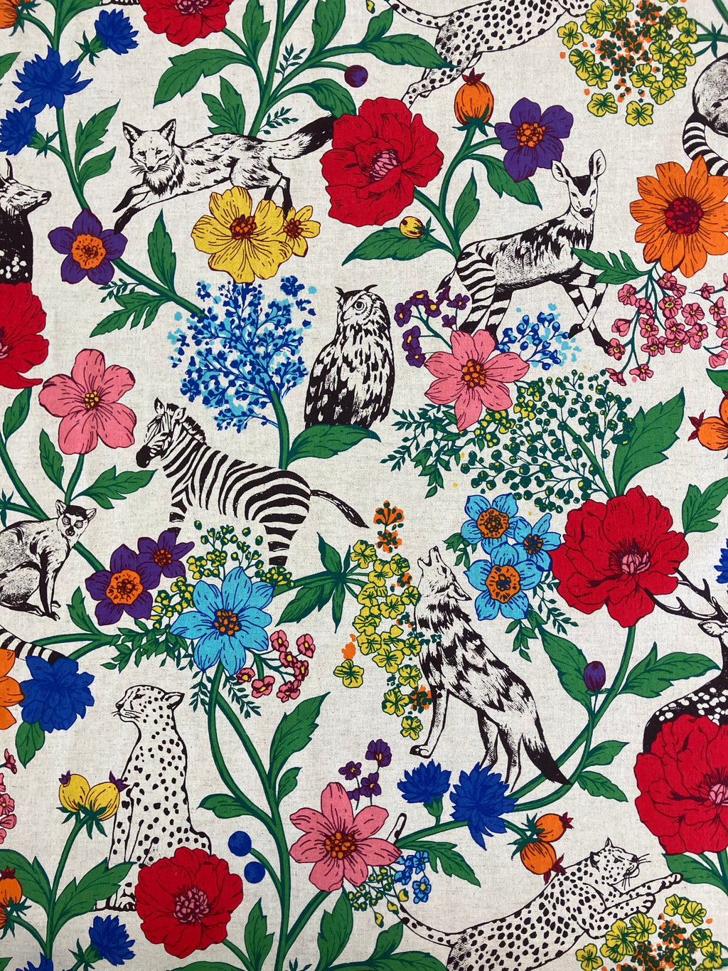 ECHINO by Etsuko Furuya ‘wonder’ multicolour